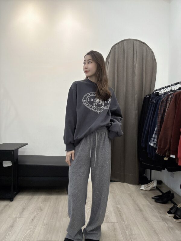 Y102 巴吉度獵犬印花圓領大學T