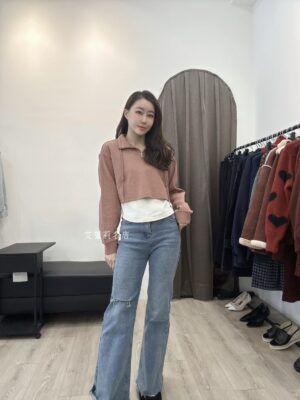 S__124100619 S561159 內搭+立領上衣